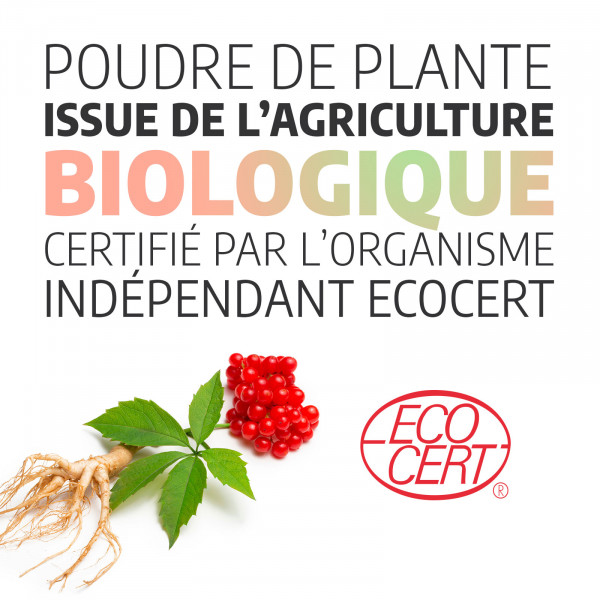 Ginseng Rouge Bio - 200 gélules