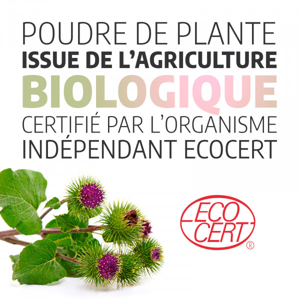 Bardane Ecocert 250 mg - gélules