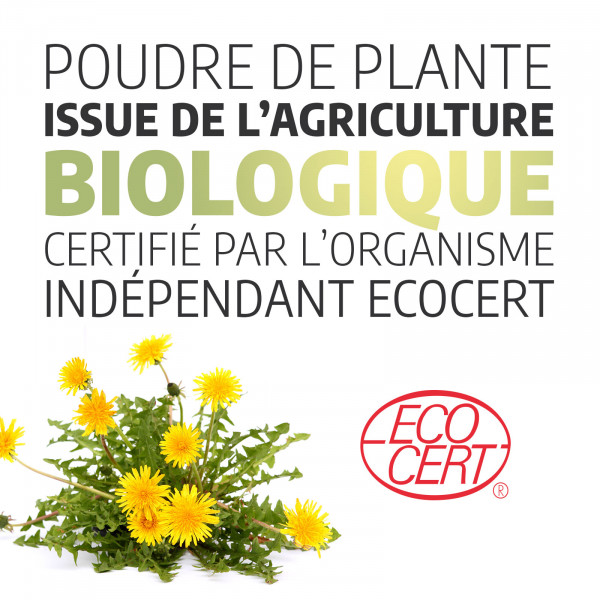 Pissenlit Racine - 200 gélules