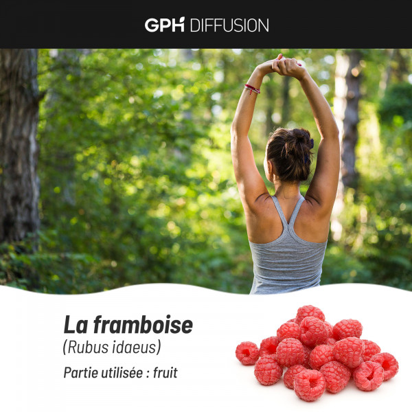 Cétone de Framboise 250 mg - gélules