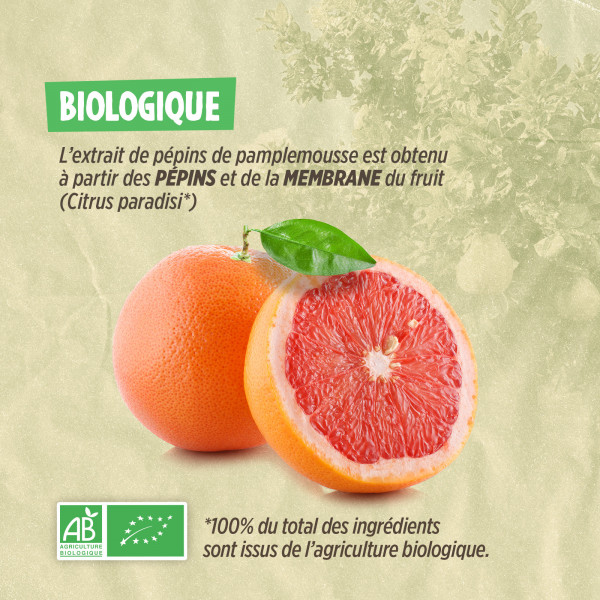 Extrait de Pépins de Pamplemousse Bio 800mg - 100ml - (EPP)