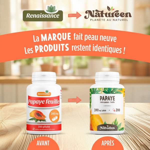 Papaye feuille - 280mg - 200 gélules