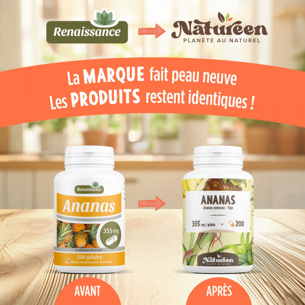 Ananas tige dosés à 600 mg par comprime 