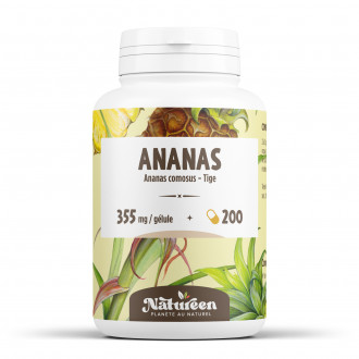 Ananas tige dosés à 600 mg par comprime 