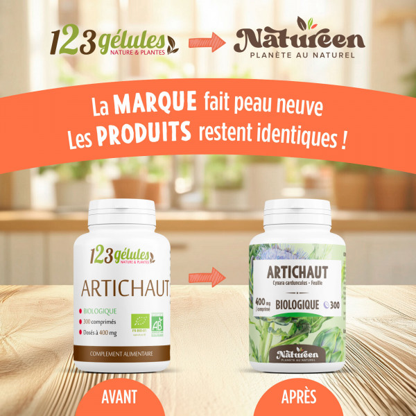Artichaut Feuille 300 comprimes à 400mg