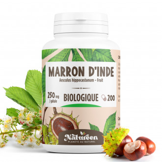 Marron D'inde Bio en gélules végétales
