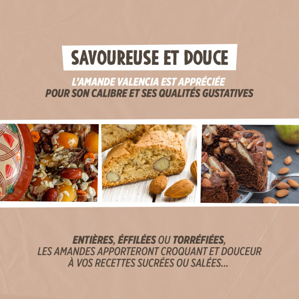 Amandes Décortiquées Bio 500g