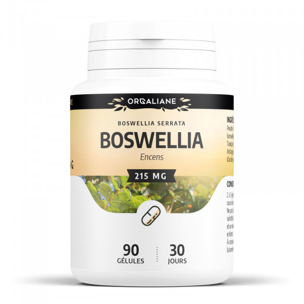 Boswellia 215 mg - Gélules