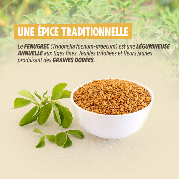 Graine de fenugrec - 1 Kg