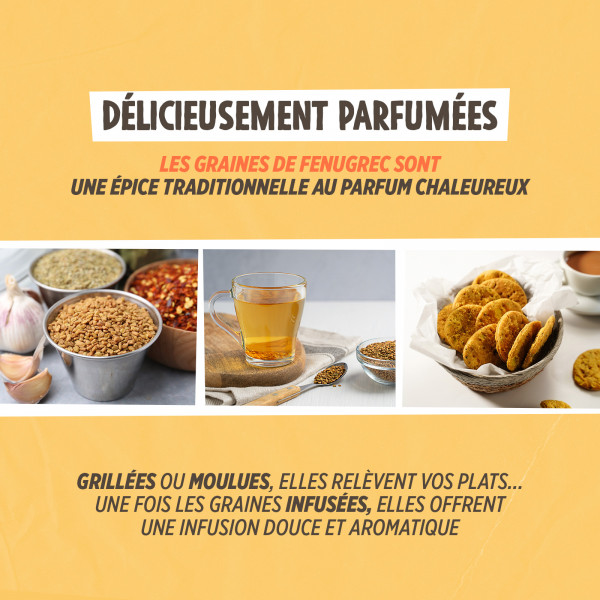 Graine de fenugrec - 1 Kg