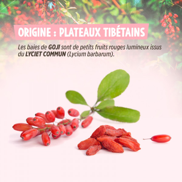 Baies de Goji GreenFood 