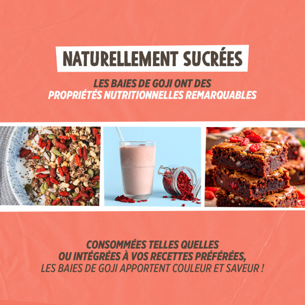 Baies de Goji Bio