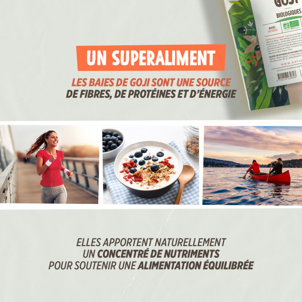 Baies de Goji Bio