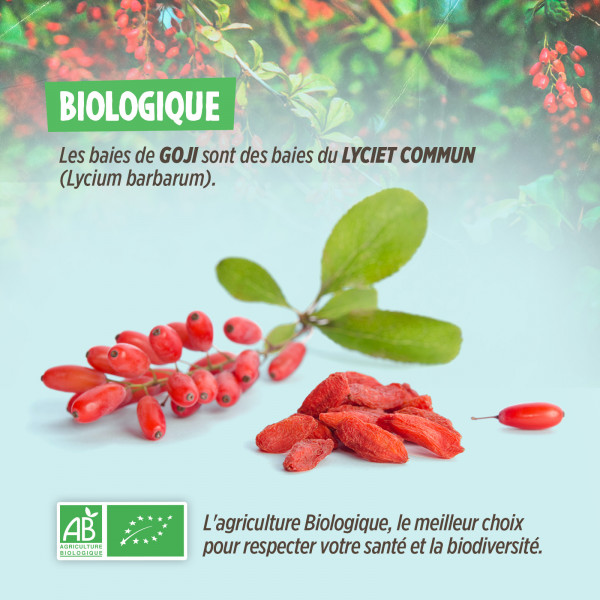 Baies de Goji Bio Tibet - 500G