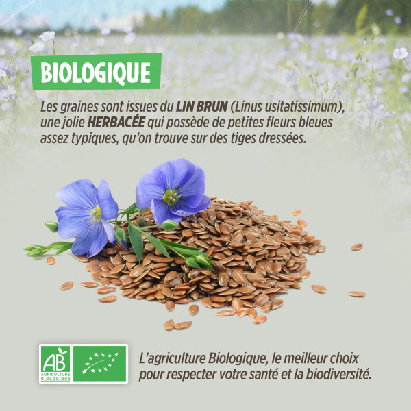 Graines de Lin Brun Bio 