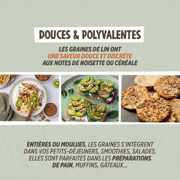 Graines de Lin Brun Bio 