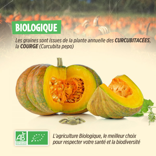 Graines de Courge Bio - 500g