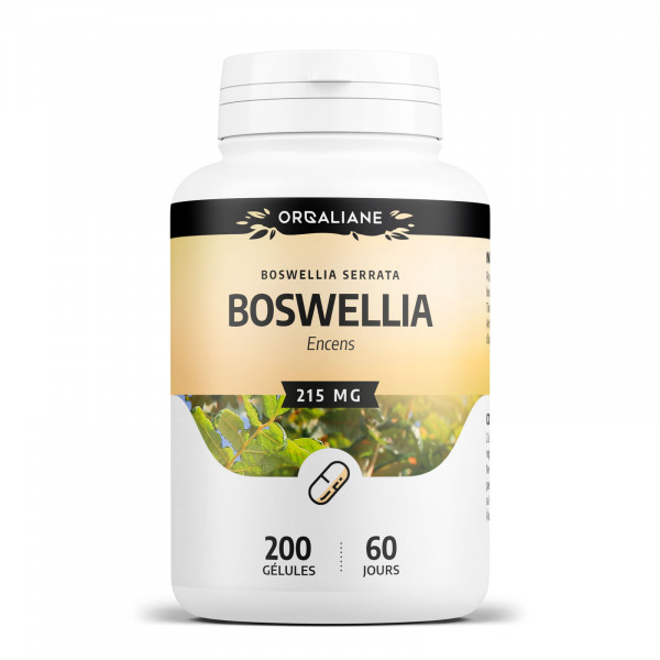 Boswellia 215 mg - Gélules