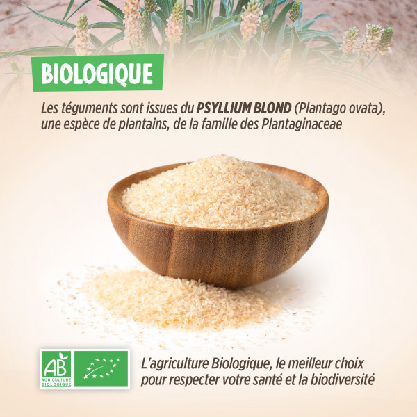 Psyllium Blond Bio - 500 g