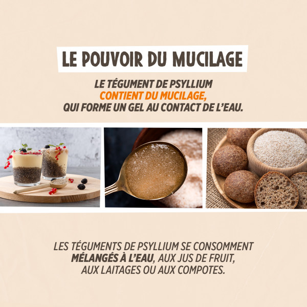 Psyllium Blond Téguments 500 g