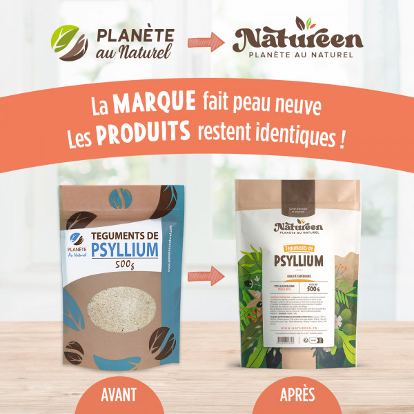 Psyllium Blond Téguments 