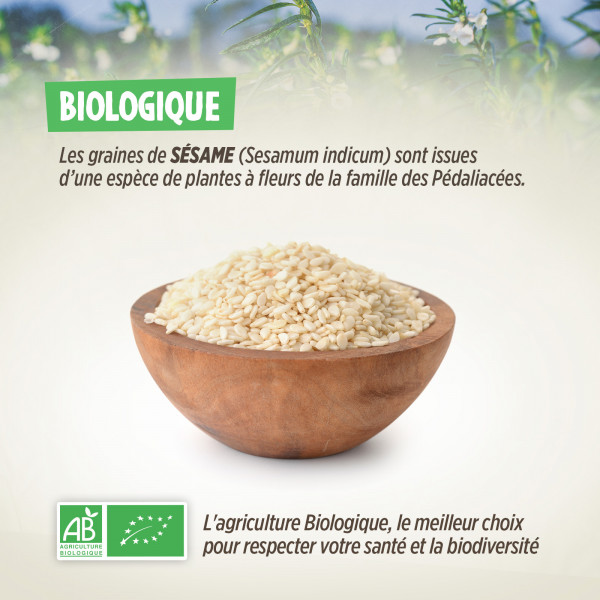 Graines de Sésame Bio - 500g