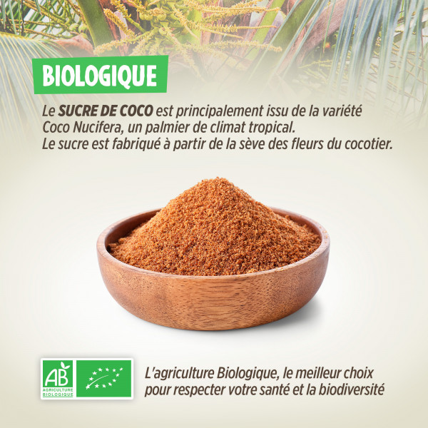 Sucre de Noix de Coco Bio - 250g 