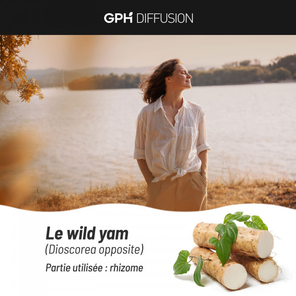 Extrait de Yam - 300mg - 80 gélules végétales