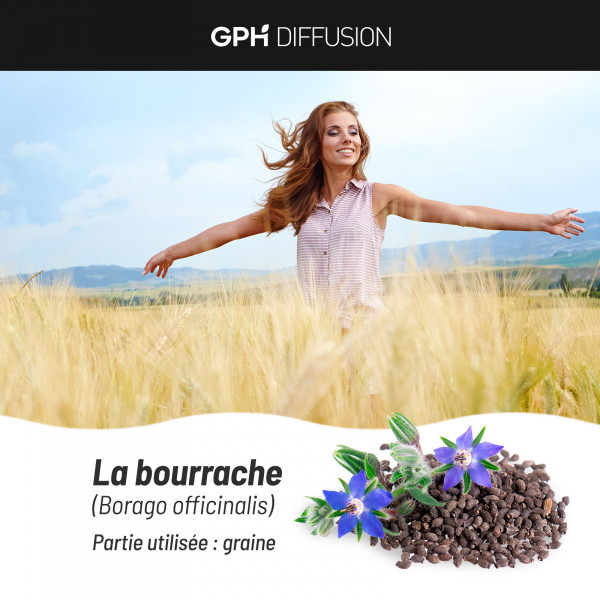Bourrache Bio - capsules à 503 mg
