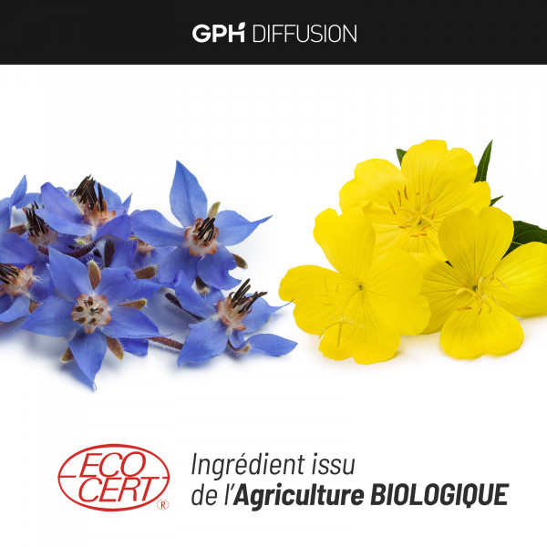 Bourrache Onagre Bio