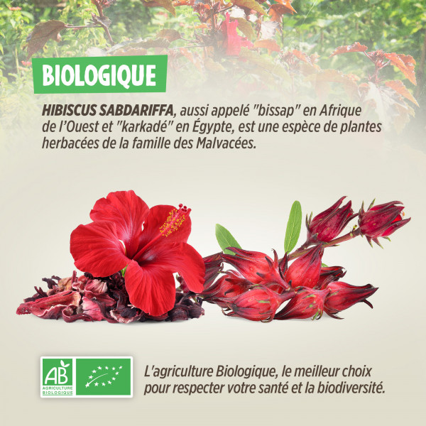 Fleurs d'Hibiscus Bio - 200 g - Karkadé