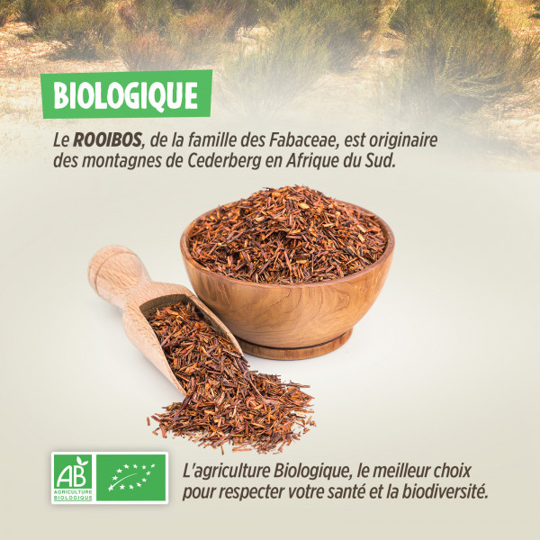 Rooibos Bio (Thé Rouge) - 500g