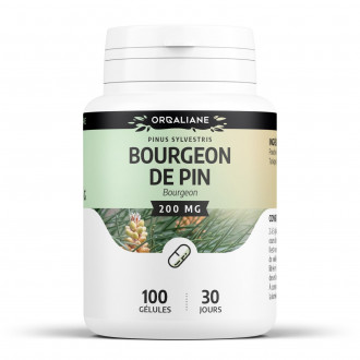 Bourgeon de Pin 200 mg - Gélules