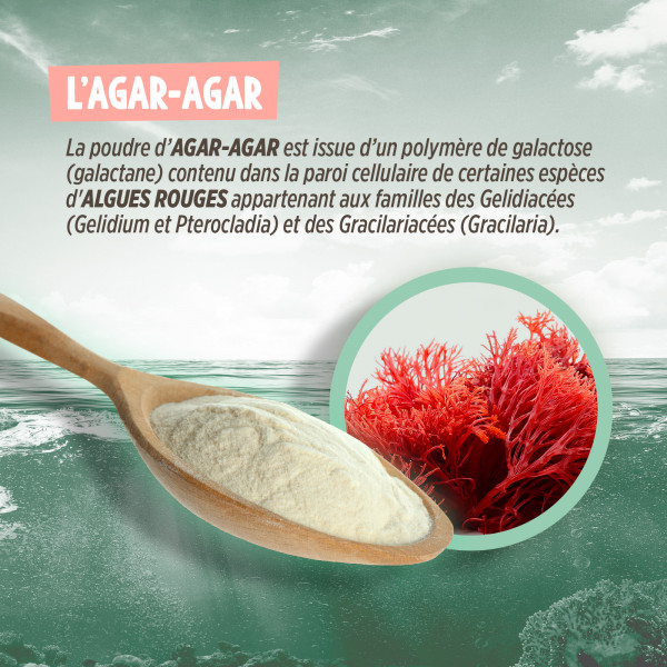 Agar Agar
