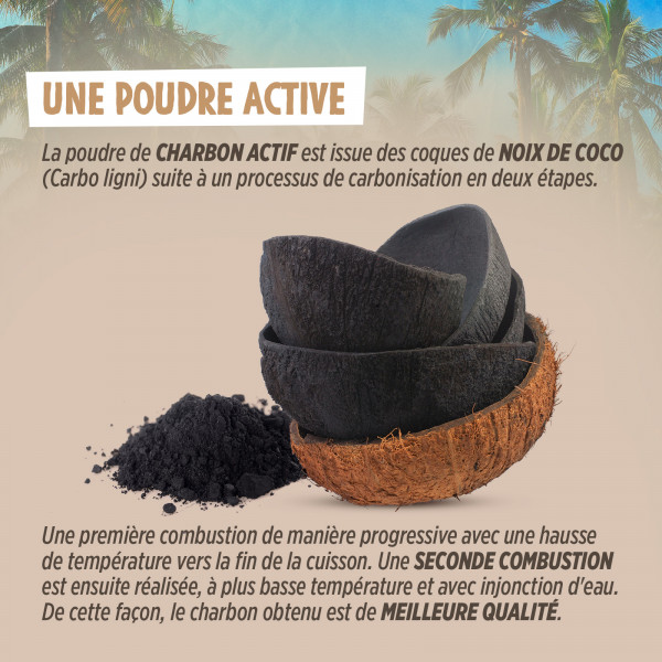 Charbon Végétal Activé en Poudre - 150 g