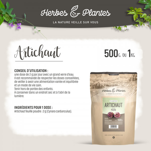 Poudre d'artichaut feuille