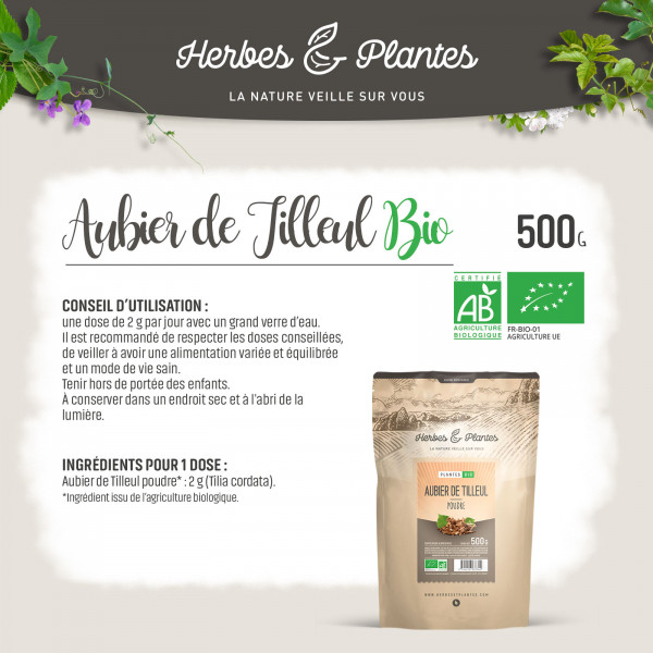 Aubier de Tilleul Bio - 500gr de poudre