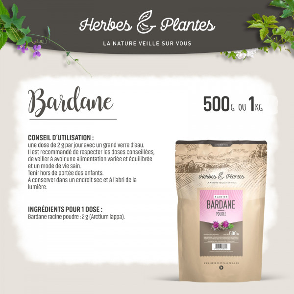 Bardane - Poudre 1 kg