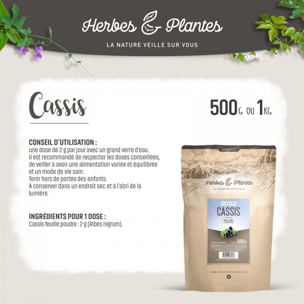 Cassis feuille - 1 Kg de poudre