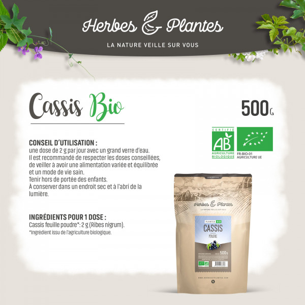 Cassis Bio (Feuille) - 500 g de poudre