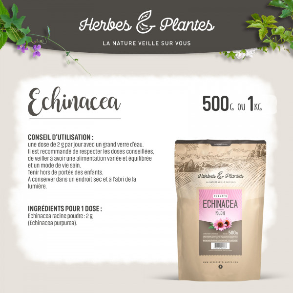 Echinacéa - 1 Kg de poudre