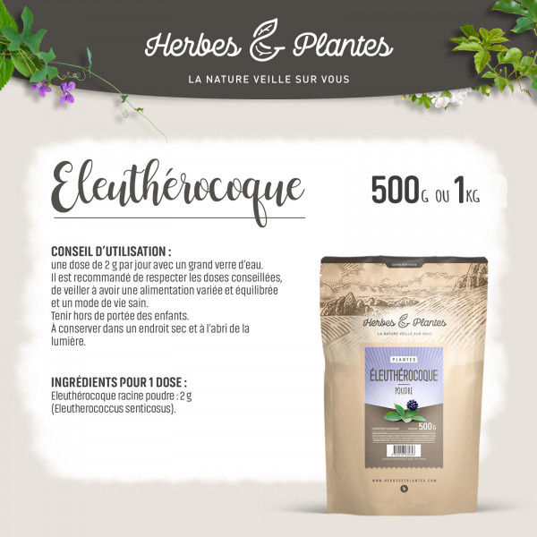 Eleuthérocoque - 1 Kg de poudre