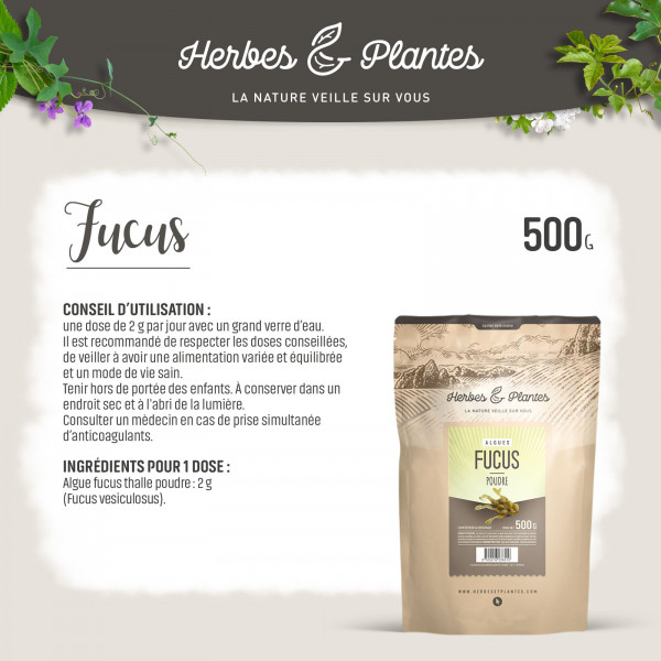 Fucus - Poudre