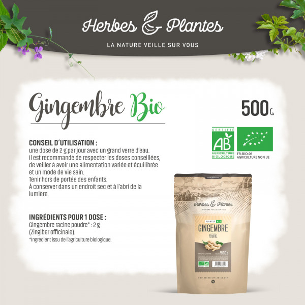 GINGEMBRE 500 gr de poudre bio