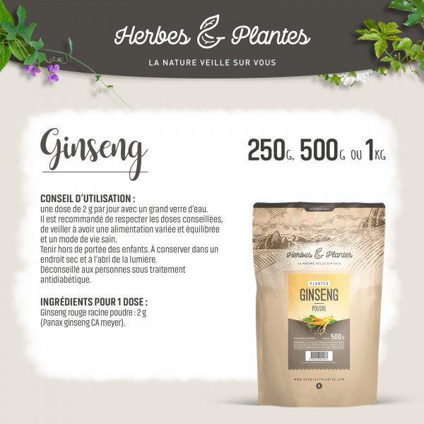 Poudre de Ginseng Rouge Panax