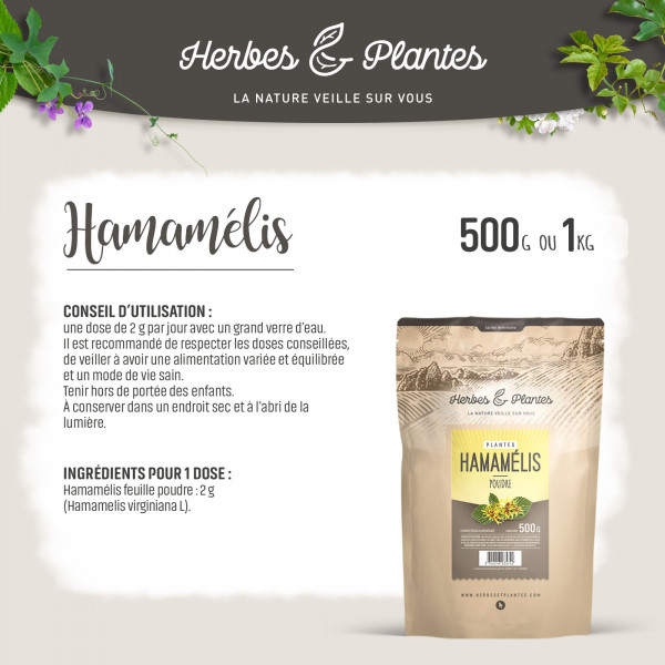 Hamamélis- 1 kg de poudre