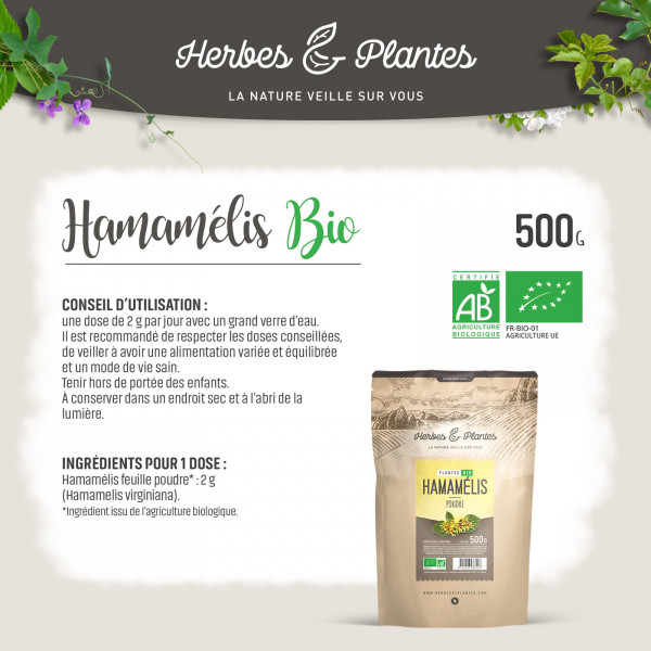 Hamamélis Bio - 500gr de poudre