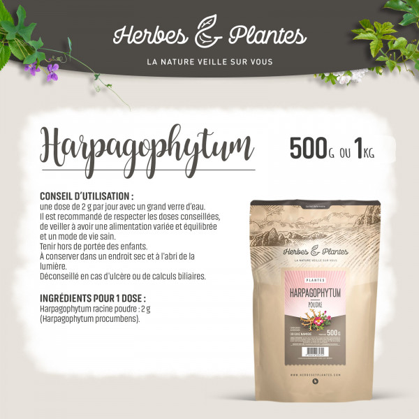 Harpagophytum poudre 1kg