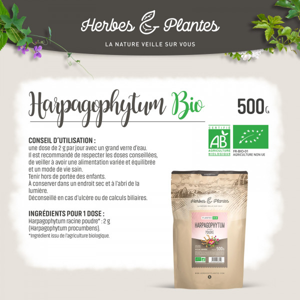 Harpagophytum Bio en poudre 500gr