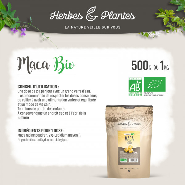 Maca du Perou Bio en poudre- 1 kg